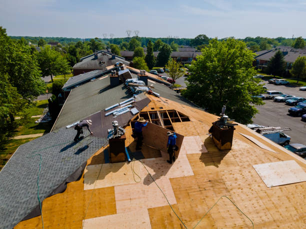 Best Metal Roofing Contractor  in Crainvle, IL