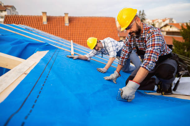 Best Best Roofing Contractors  in Crainvle, IL