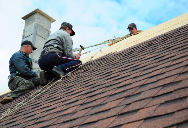 Best Roof Leak Repair  in Crainvle, IL