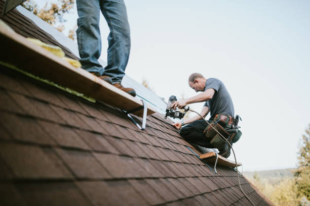 Best Commercial Roofing Services  in Crainvle, IL